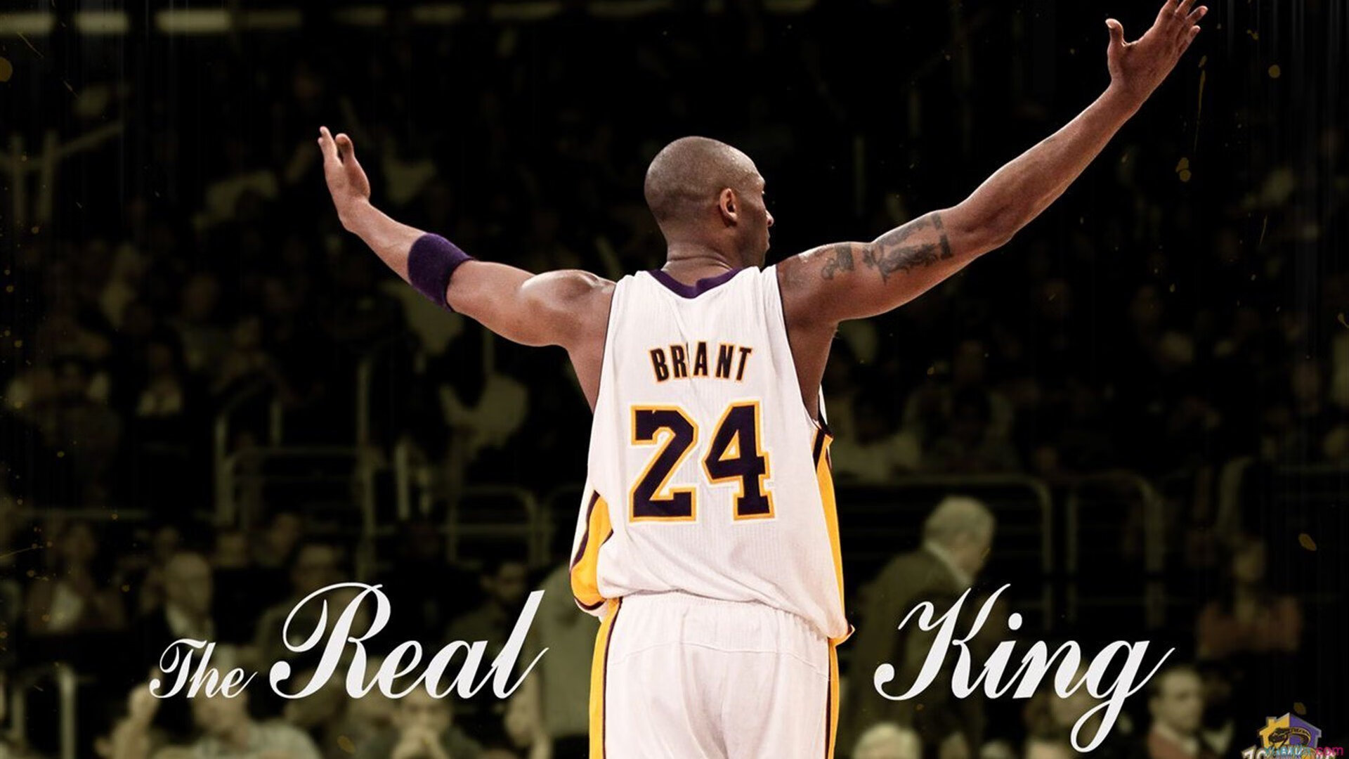 体育赛事创新动力